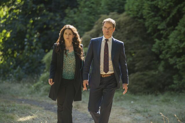 Fichier:Apercu4x05.jpg