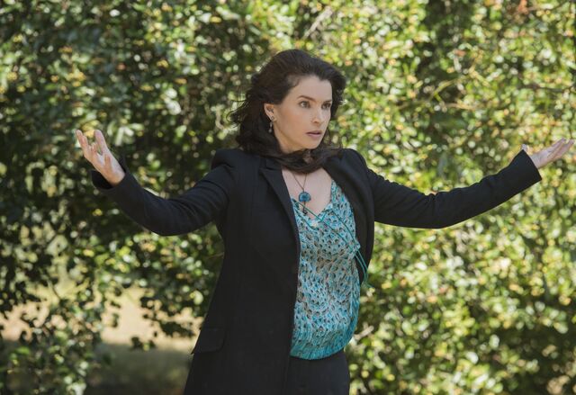 Fichier:Apercu4x04.jpg