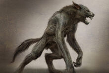 Woflie1