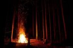 Campfire