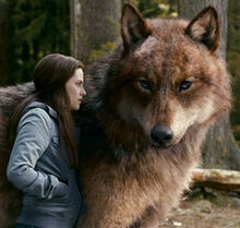 Jacob-Black-Twilight-Taylor-Lautner-c