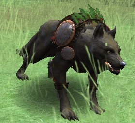 Okami form