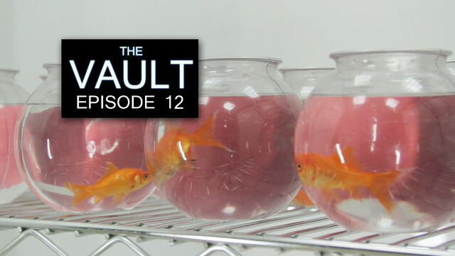 File:Ep 12 thumbnail.jpg