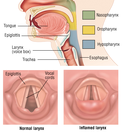 File:205130.jpg