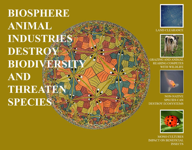File:Vegan-Biosphere.jpg