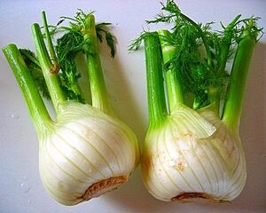 Fennel