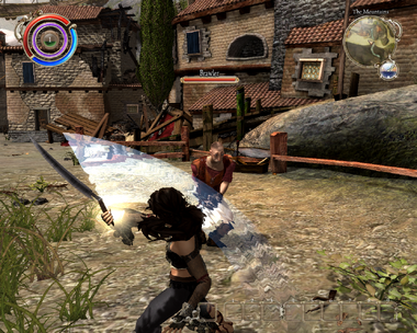 Brawler training