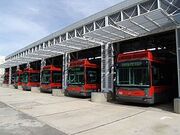 Buses trolmerida.jpg