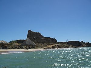Araya 137.jpg