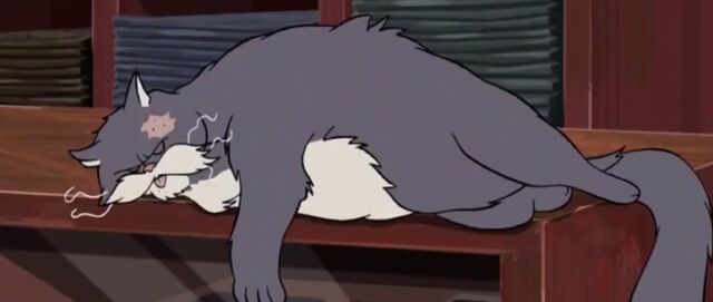 File:Enzo's Cat.jpg