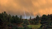 Lightning Strikes Forest