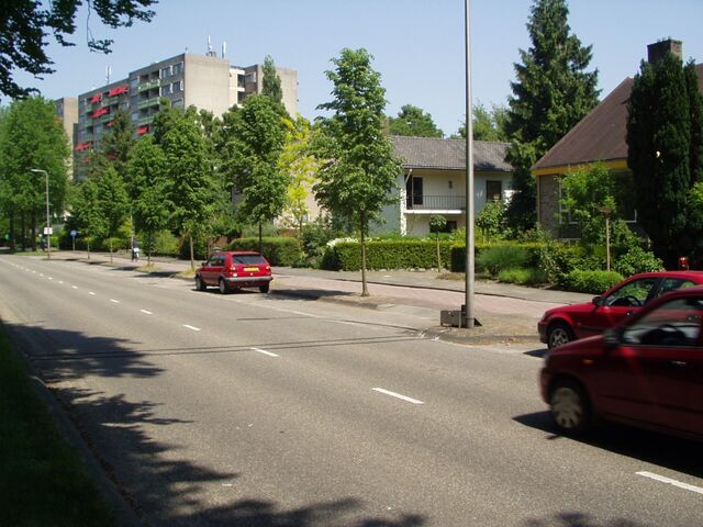 Bestand:Telslang2.jpg