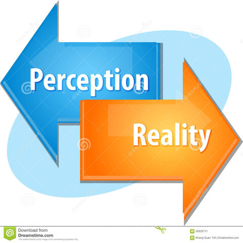 File:Realityvsperception.jpg