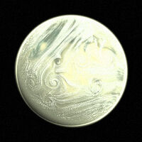 AsaVexilliumFromSpace