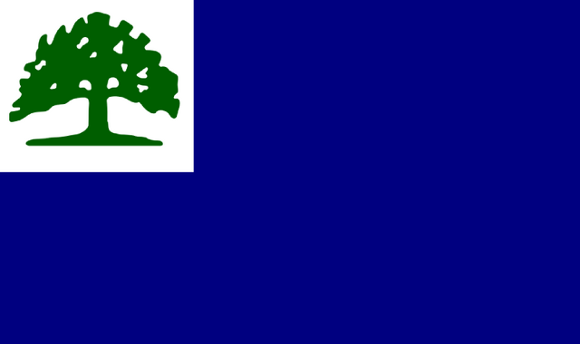 File:CT Proposed Flag luketheduke03 1.png