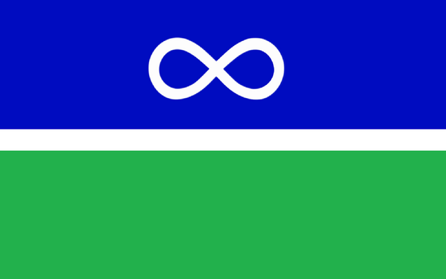 File:MB Flag Propopsal Robo-Diglet.png