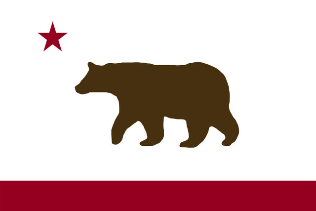 File:CA Flag Proposal rennep.jpg