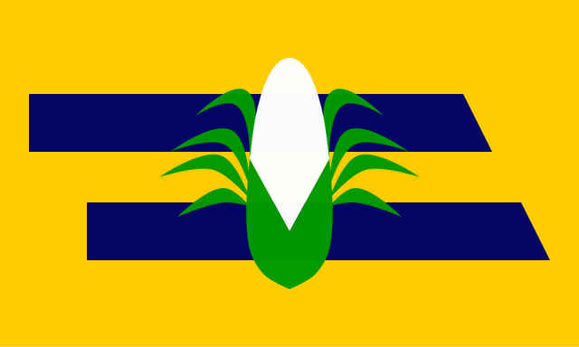 File:Proposed NE Flag SonofSibir.png