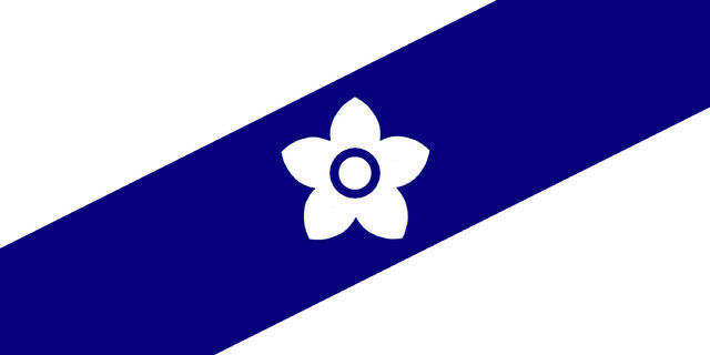File:MA Flag Proposal Tibbetts.jpg