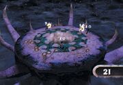 Vexx ring catch