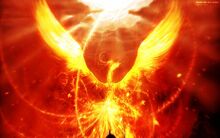 Pheonix-bird-phoenix-of-fire-414711