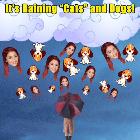 File:It's raining Cats and Dogs.jpg