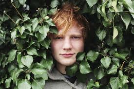 File:Ed sheeran 7.jpg