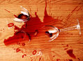Thumbnail for version as of 02:05, February 11, 2013