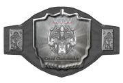 CasualChampionship