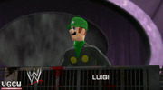 Vgcw mr l luigi
