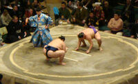 Sumo