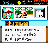 Power Pro Kun Pocket
