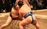 Sumo 2