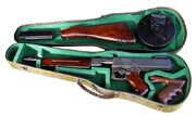 Thompson in violin case