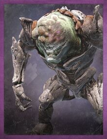 Orco Boss