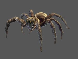 Jumper