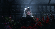 Catwoman loses