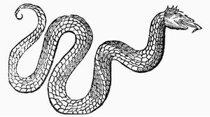 The Basilisk