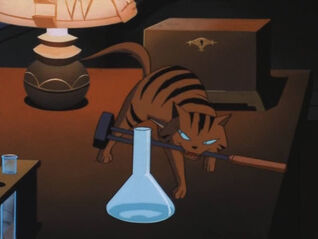 Teekl (BTAS)