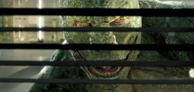 File:Lizard3.jpg