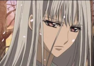VK shizuka