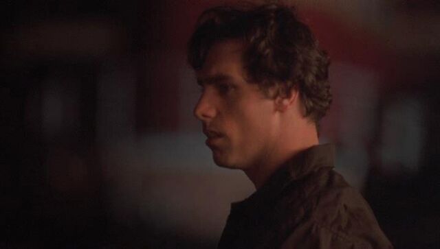 File:Screen image 294503.jpg