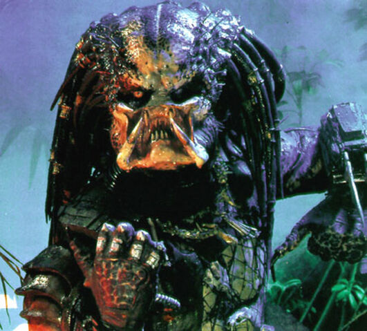 File:Predator 800 800.jpg