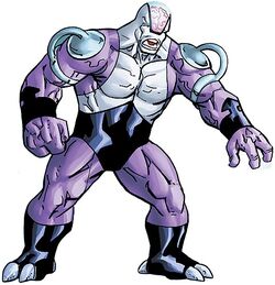 Validus