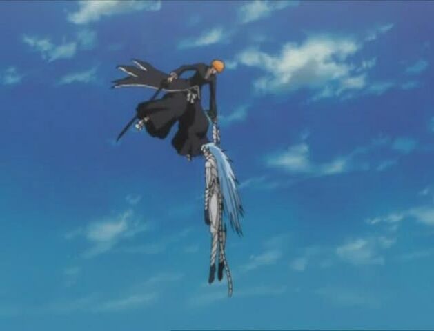 File:Ichigo defeats Grimmjow.jpg
