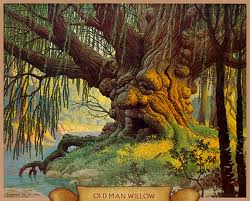 OldManWillow