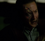 319-Renard woged