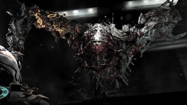 File:782px-The Tormentor.jpg