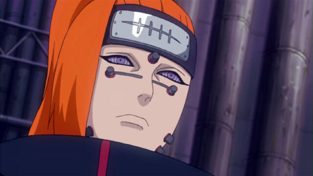 File:Animal Path (Naruto).jpg