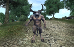 Minotaur Creature
